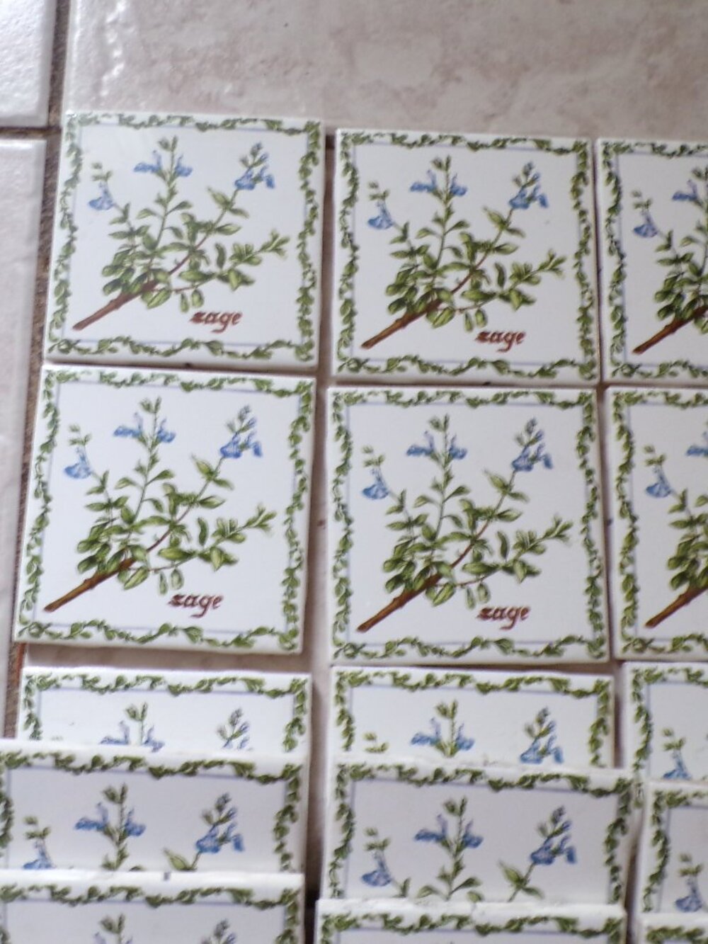 8 JEFFREY COURT Botanical Herb Tiles Sage USA New
